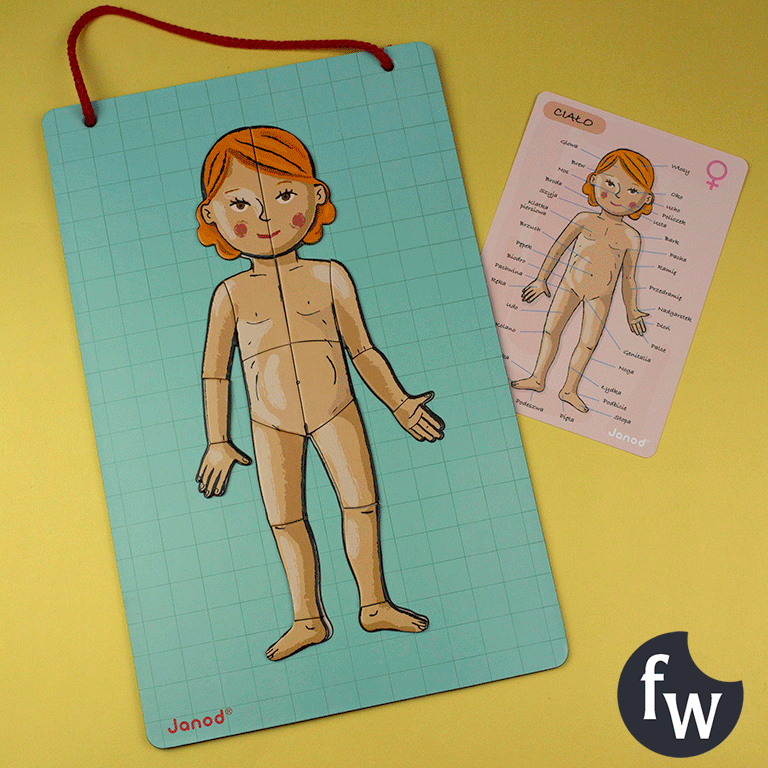 Janod Układanka Magnetyczna Ciało Człowieka 5+ | Edukacyjna
