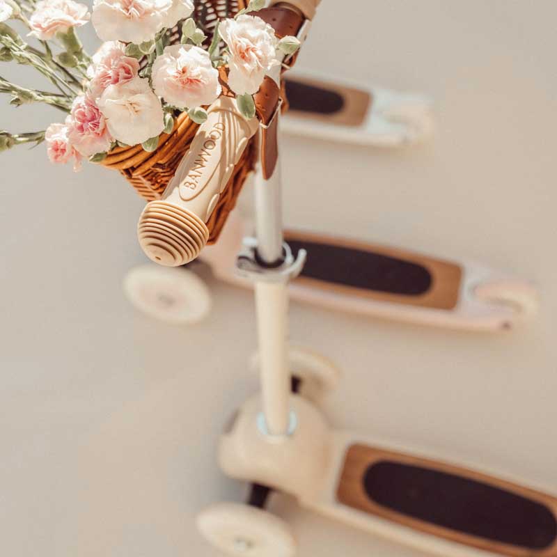 Banwood, Hulajnoga Pink