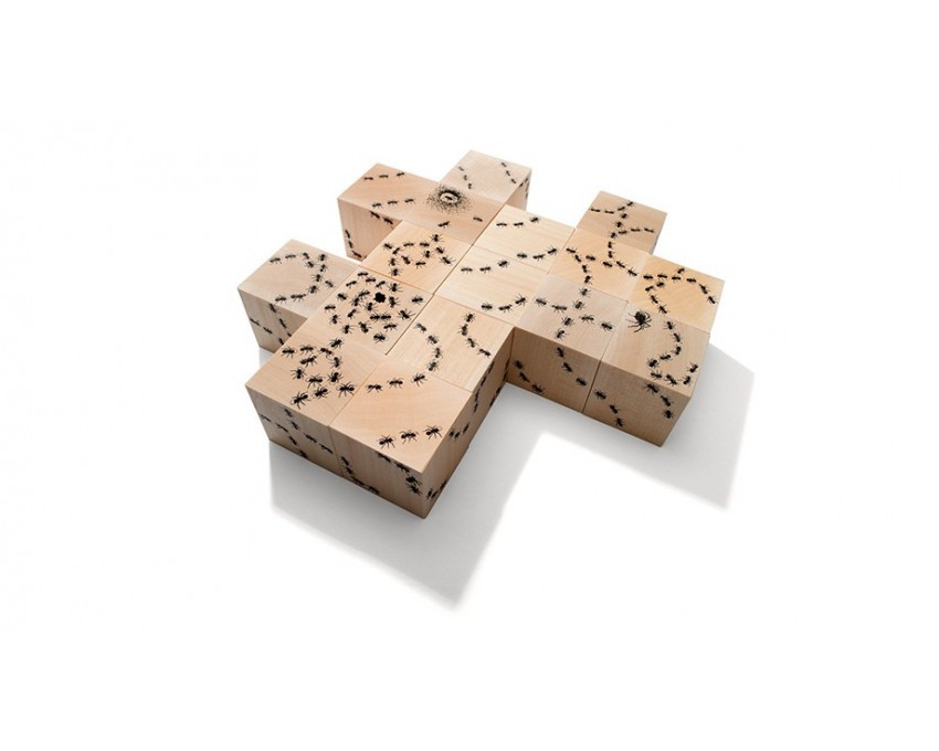 Szlakiem Mrówek Drewniane Klocki Edukacyjne 1+