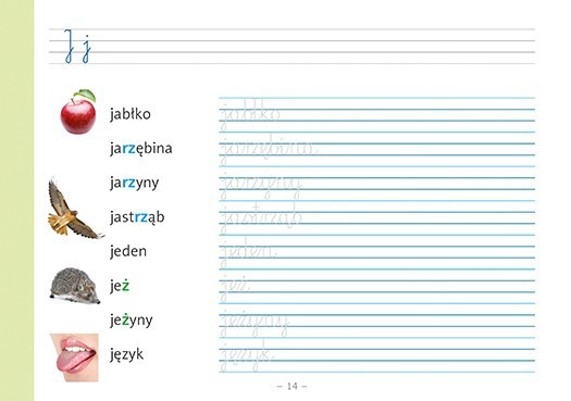 Słowniczek ortograficzny Wydawnictwo Adamada ćwiczenia 6+