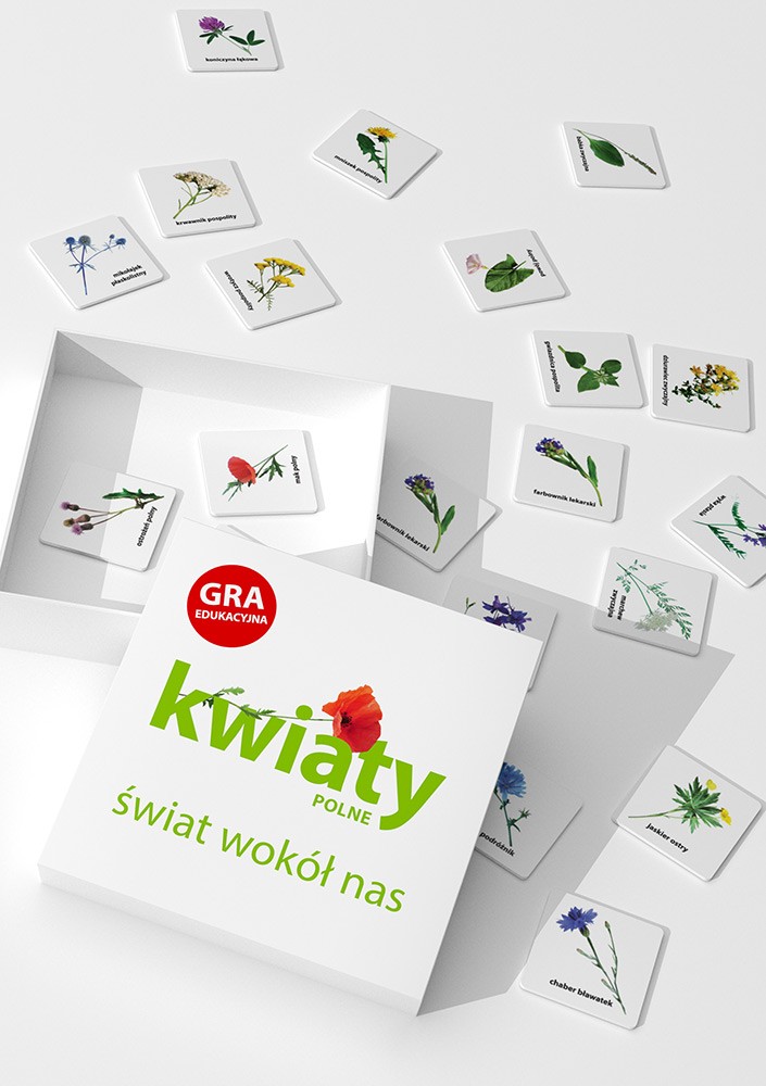 Gra edukacyjna Kwiaty Polne - Świat wokół nas 3+