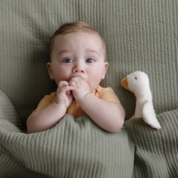 Little Dutch Piszczałka Little Goose 0+