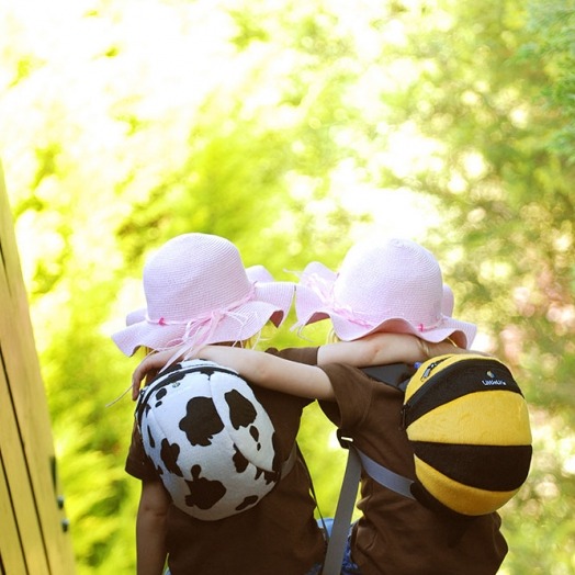 Plecaczek ze smyczą    Pszczoła