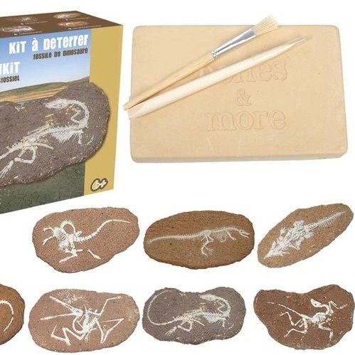 Bones&More, Duży szkielet dinozaura - wykopalisko na kamieniu