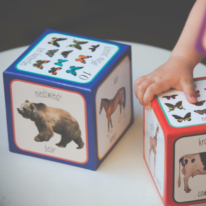 Piramida Zabaw Kartonowe Klocki Zwierzęta 1+