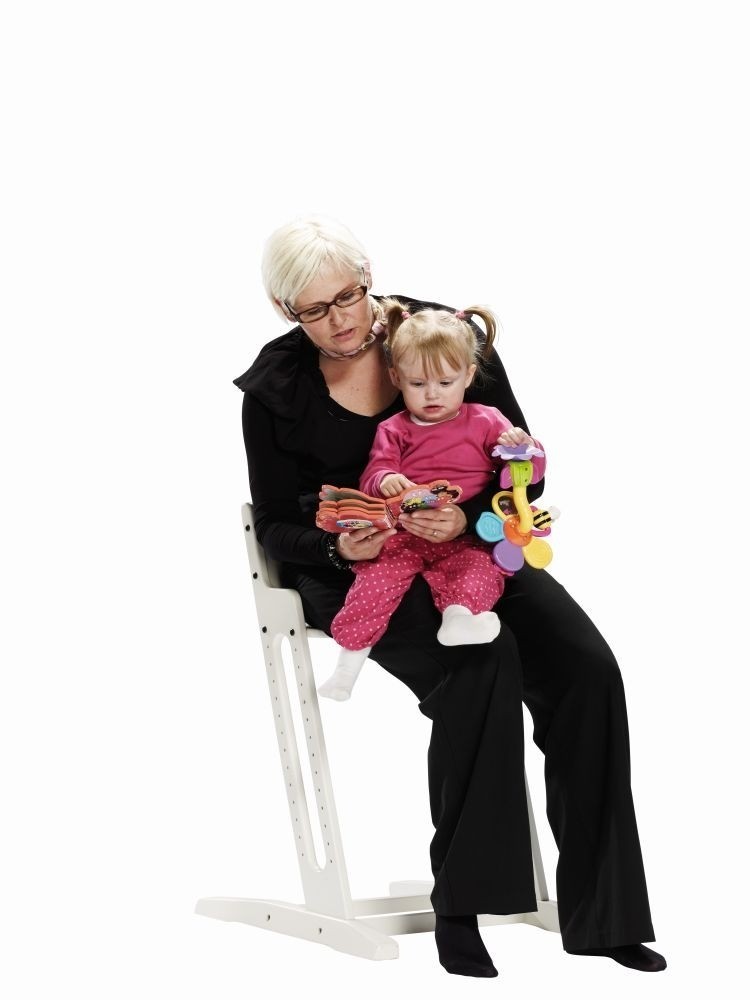 BabyDan Krzesełko do karmienia DANCHAIR szare 6m+