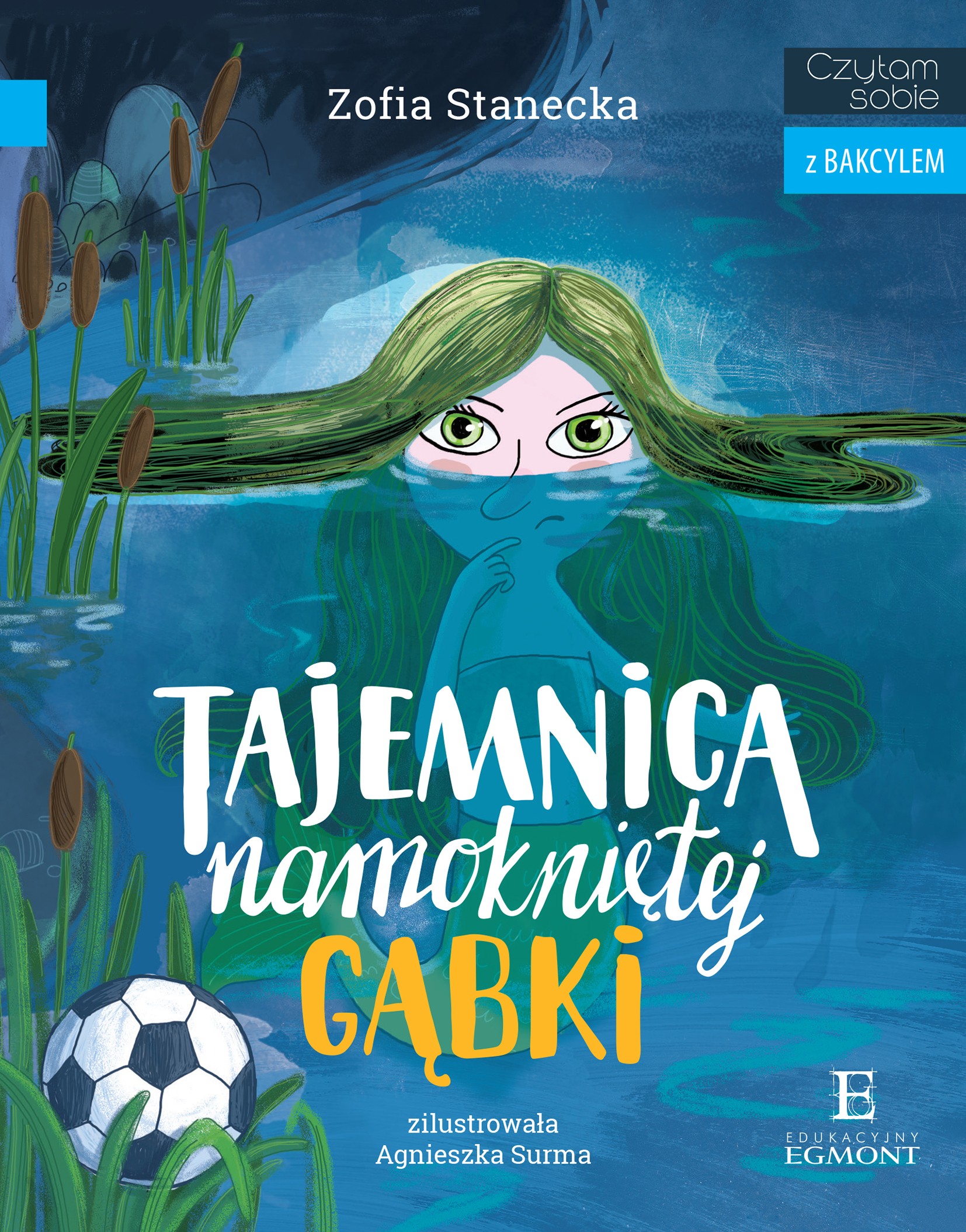 Tajemnica namokniętej gąbki - Książka Przygodowa dla Dzieci 7+