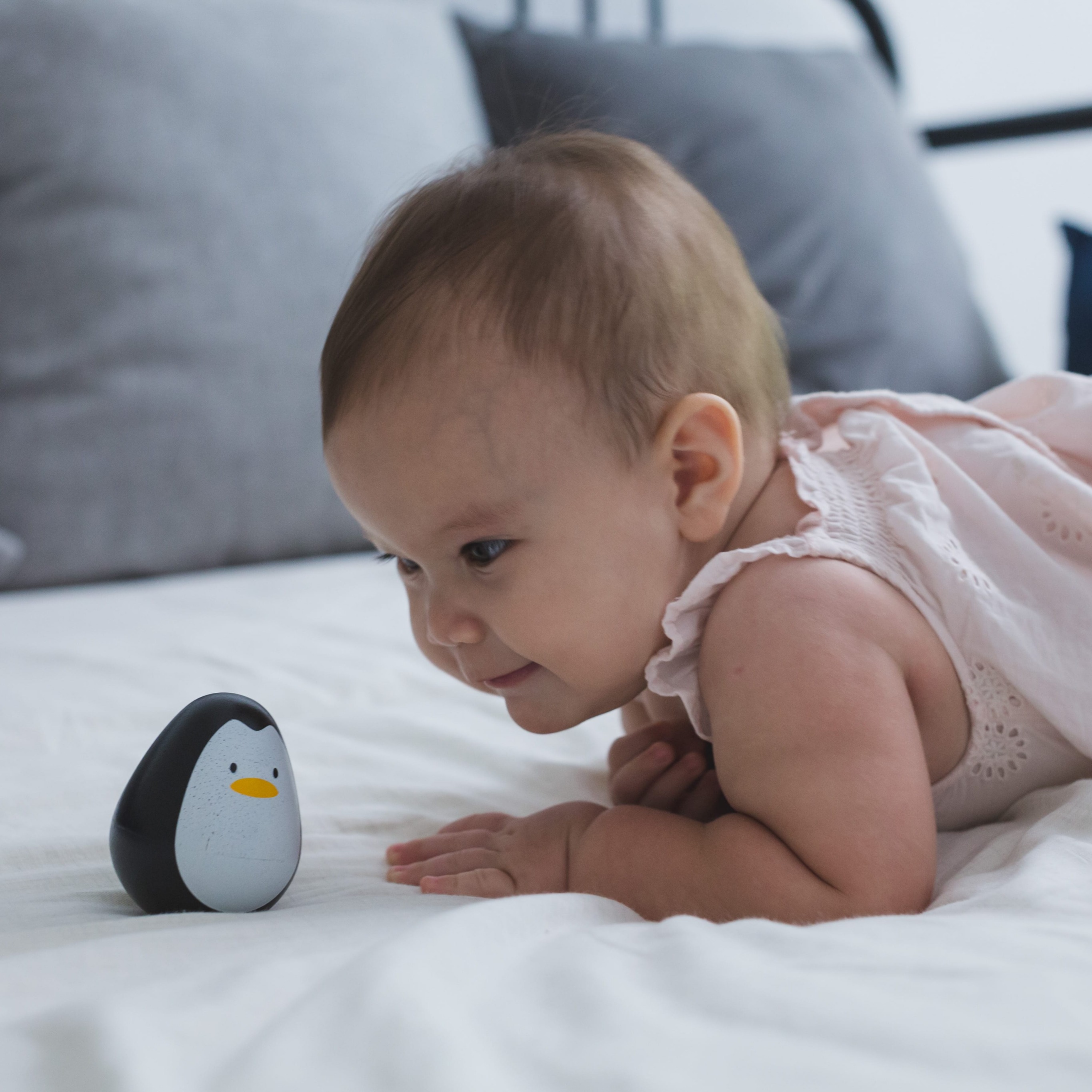 Plan Toys Pingwin Wańka-Wstańka 12m+