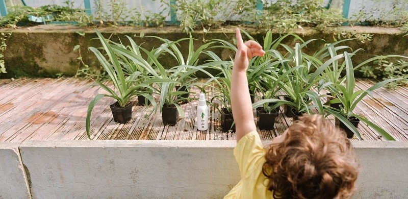 Linea MammaBaby Spray na Owady Baby Zeta 100ml 0+