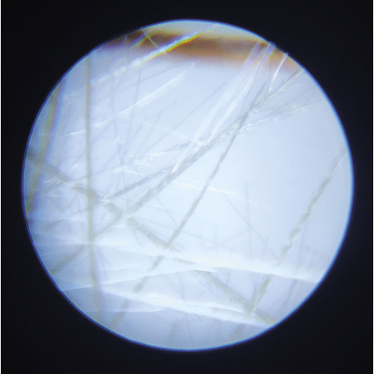 Janod Mikroskop Kieszonkowy dla Dzieci 50x–250x Przenośny 3+