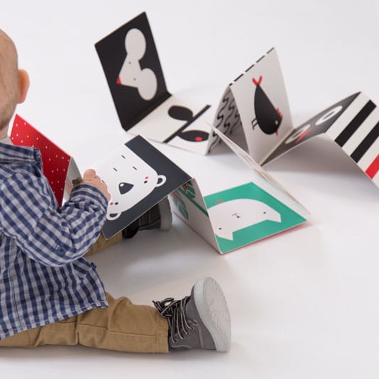 Czuczu Starter Malucha - Pierwsze Słówka 12m+